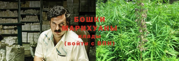 PSILOCYBIN Алексеевка