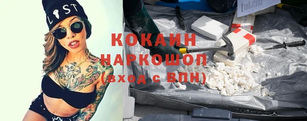 соль ск Алексин